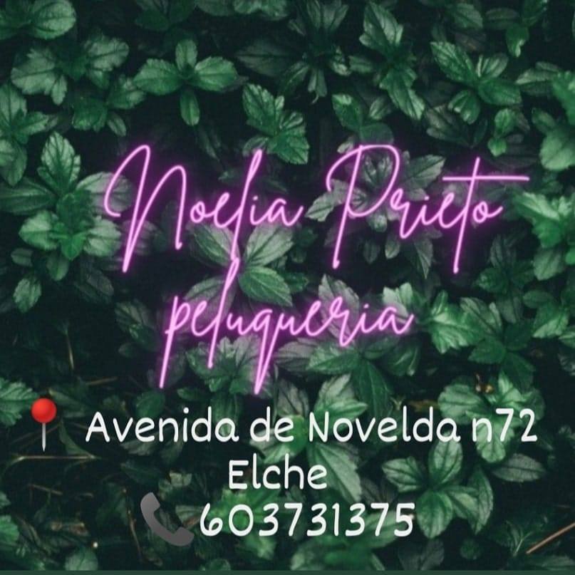 logo-noelia-prieto-peluqueria